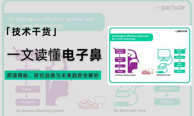电子鼻商业化瓶颈如何破？VSP 干法纳米打印技术给出答案（上）