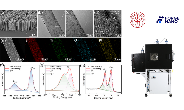 ALD 用户成果｜东华大学张青红教授团队：包覆纳米级TiO₂ 涂层提升 SiNWs 光解水性能