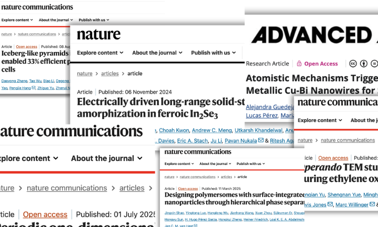 DENSsolutions 原位样品杆：2025 精选十篇顶刊的隐形功臣，Nature/AM 都在用！