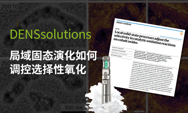 Nature Catalysis最新解析：局域固态演化如何调控选择性氧化？